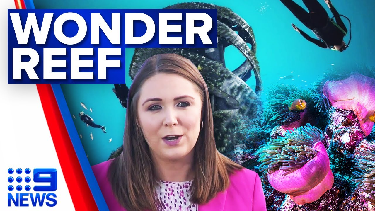 Artificial reef and dive site installed off Queensland coast | 9 News Australia