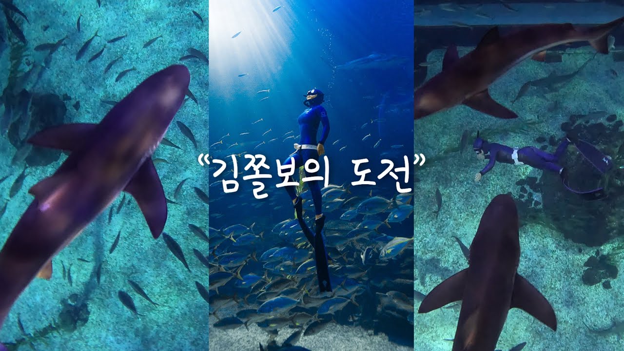 한국에서도 상어랑 다이빙 할수 있다?!🦈 | 쫄보다이버의 제주아쿠아플라넷 다이빙 | 제주도 이색다이빙 포인트 | 아쿠아리움다이빙 (feat.해녀어머니)