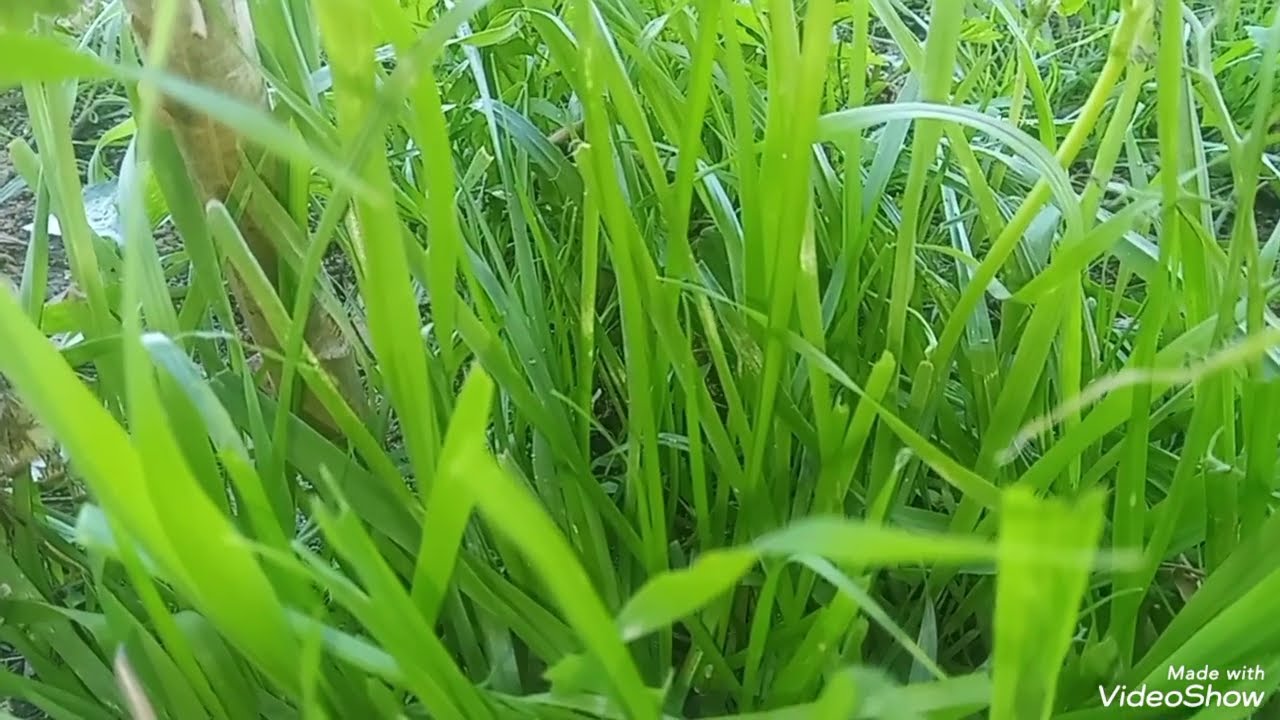 قصة تشلحيت النهار مات راجلي عرفت الحقيقة😭 اللي كان مخبيها💔 علي دخلت في زنقة الهبال😱