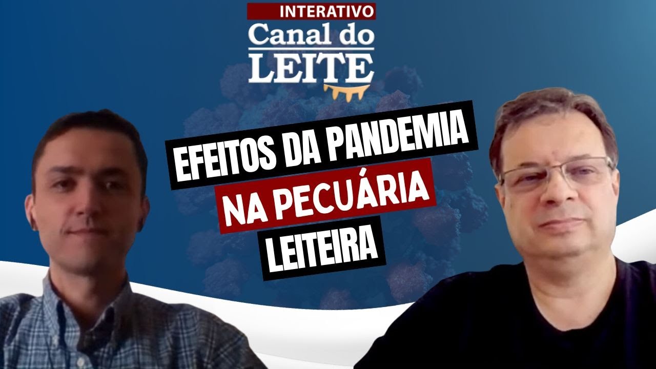 Programa Canal do Leite Interativo #2