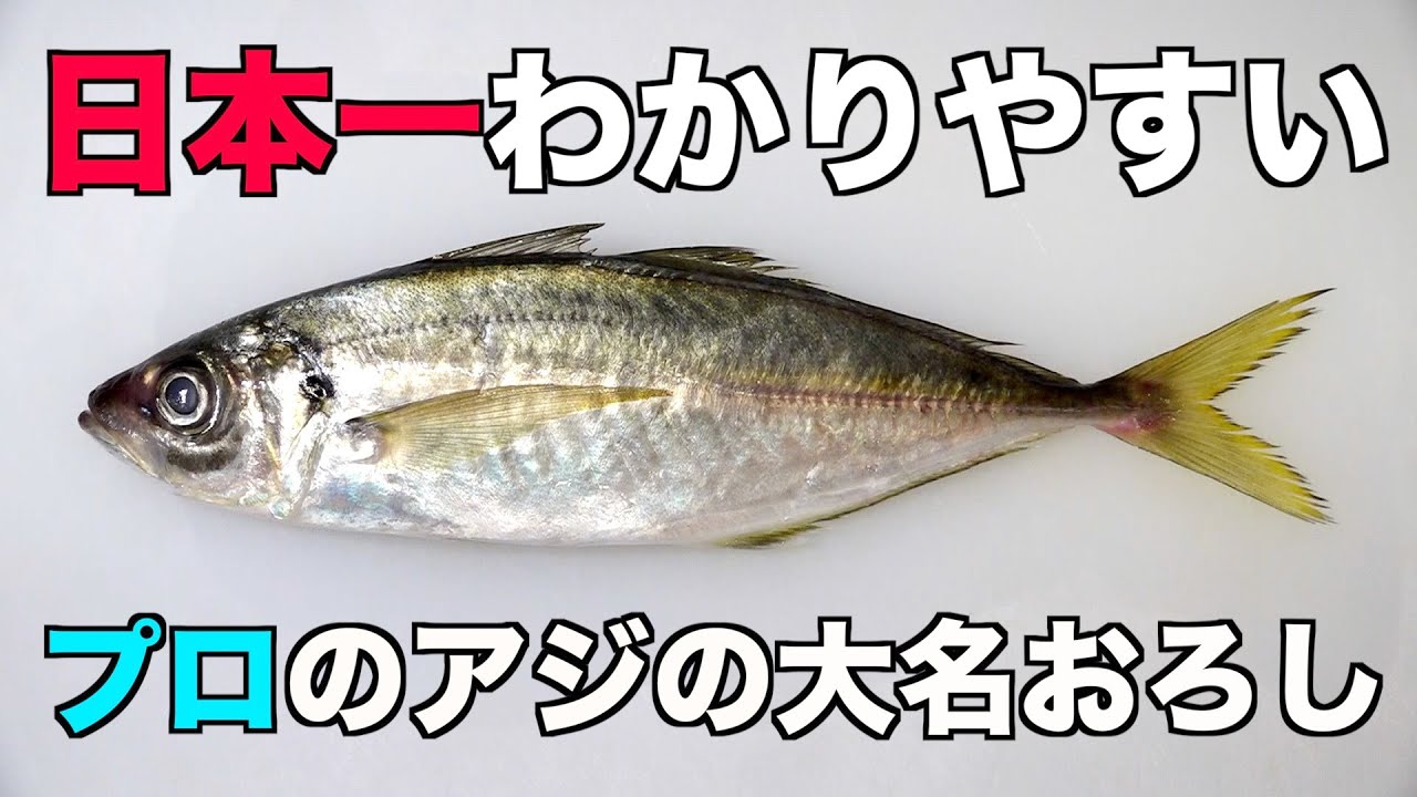 誰でも簡単わかりやすい【アジの大名おろし】