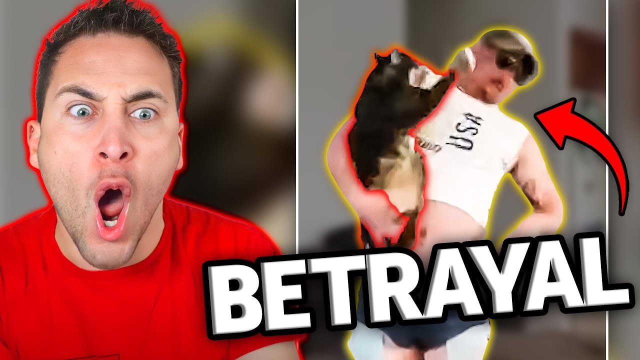 TikToks That Prove Cats Suck