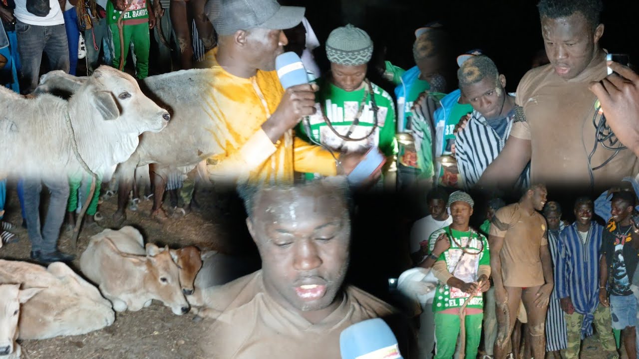 PARTAGE DES BŒUFS LAMB THIALLANE LE 19 JANVIER 2025