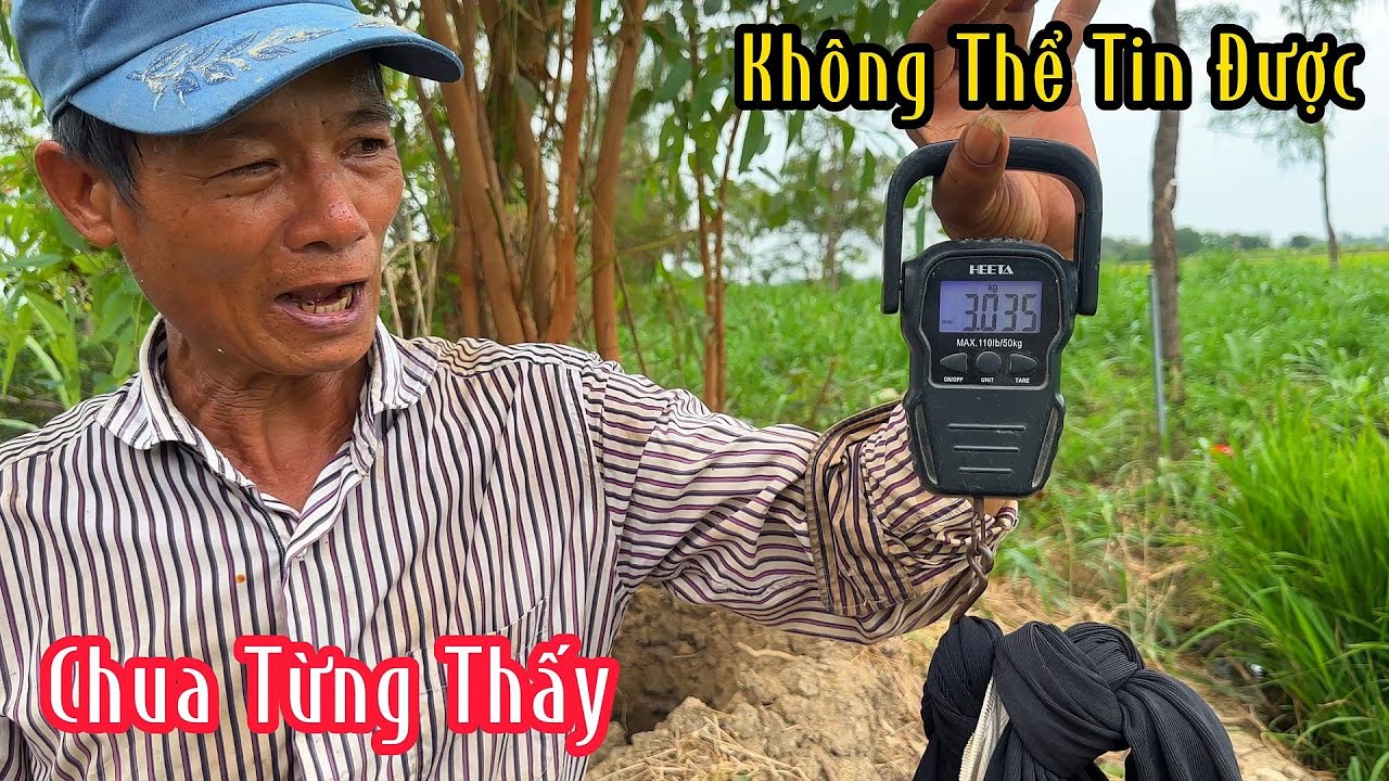 Không Thể Nào Mà Diễn Tả Có 1 Cái Bờ Kênh Mà Rắn Độc Lột Da Quá Nhiều | Mười Thương SB
