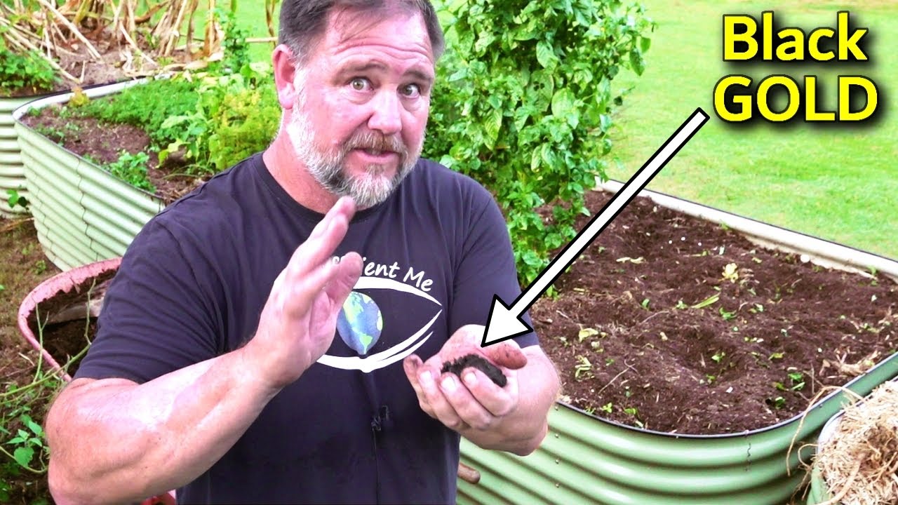 How to QUICKLY Prepare a Garden Bed for Planting Vegetables?