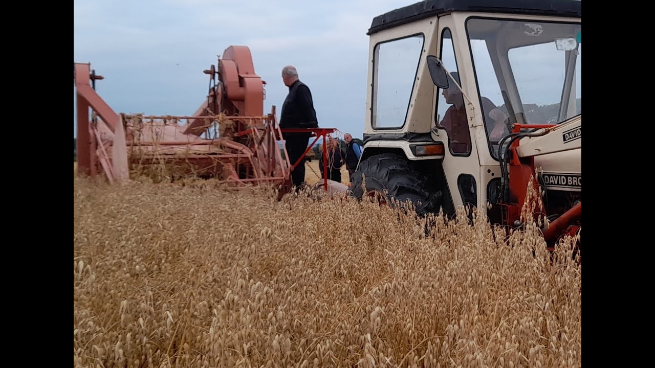 DANIA 500 TRAILED  COMBINE HARVESTER 1960S AND A 995 DAVID BROWN old school harvest 1960 oats barley