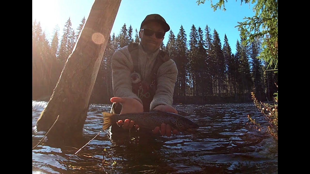 Fishing at flooded Kellankoski rapids / Kalastusta tulvivalla Kellankoskella