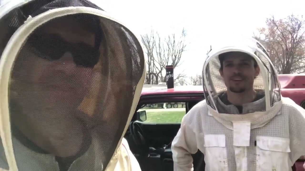 Hygienic Behaviour Testing with @aCanadianBeekeepersBlog Ian Steppler