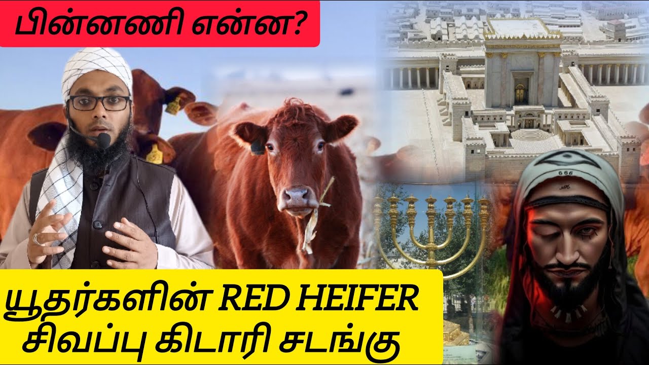சிவப்பு கிடாரி சடங்கு | Arham Usmani Umari