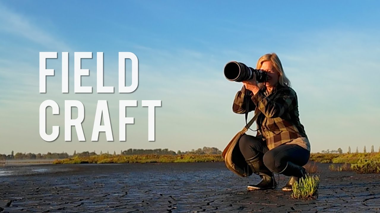 Bird Photography in East Gippsland: My Field Craft Secrets Revealed