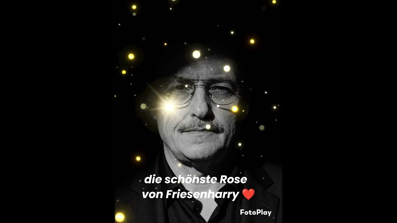 für dich...Du weisst das ich dich meine.. 🥺🌞ich weiss das du es willstdie schönste Rose..Maxi.zusatz