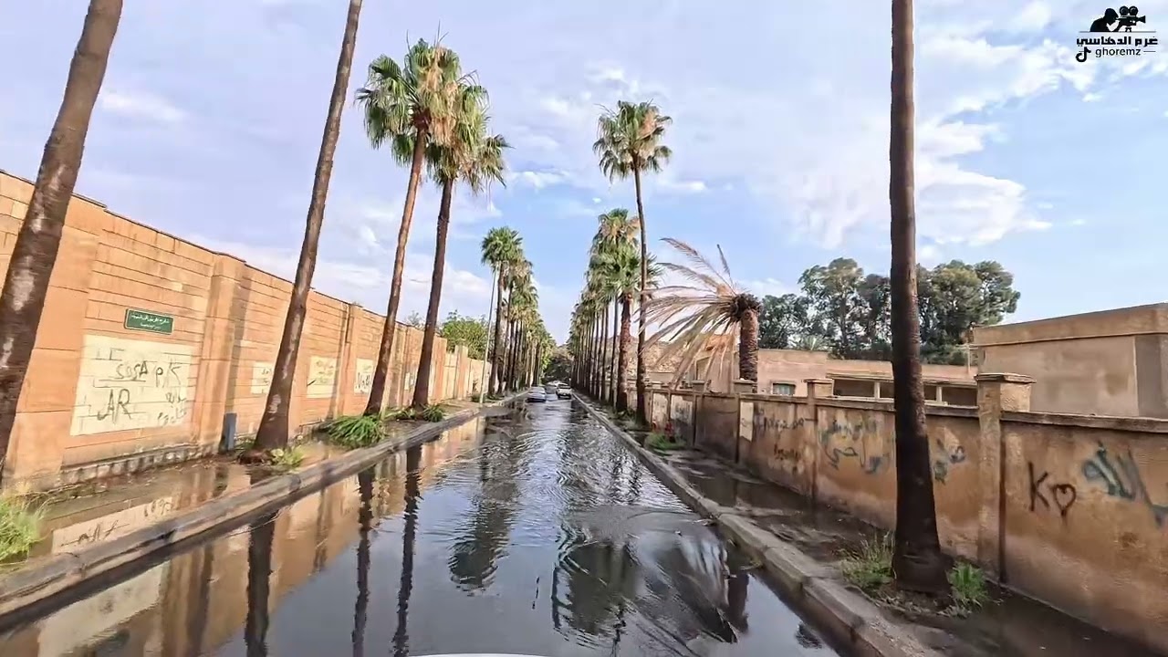عصرية الجمعة ١١ ذو القعدة ١٤٤٦ شوارع الطائف عروس المصائف 💐