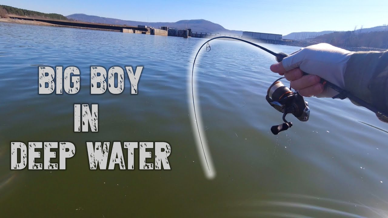 DEEP White Bass. Lots. And some Big-Ole Ugly Fish!