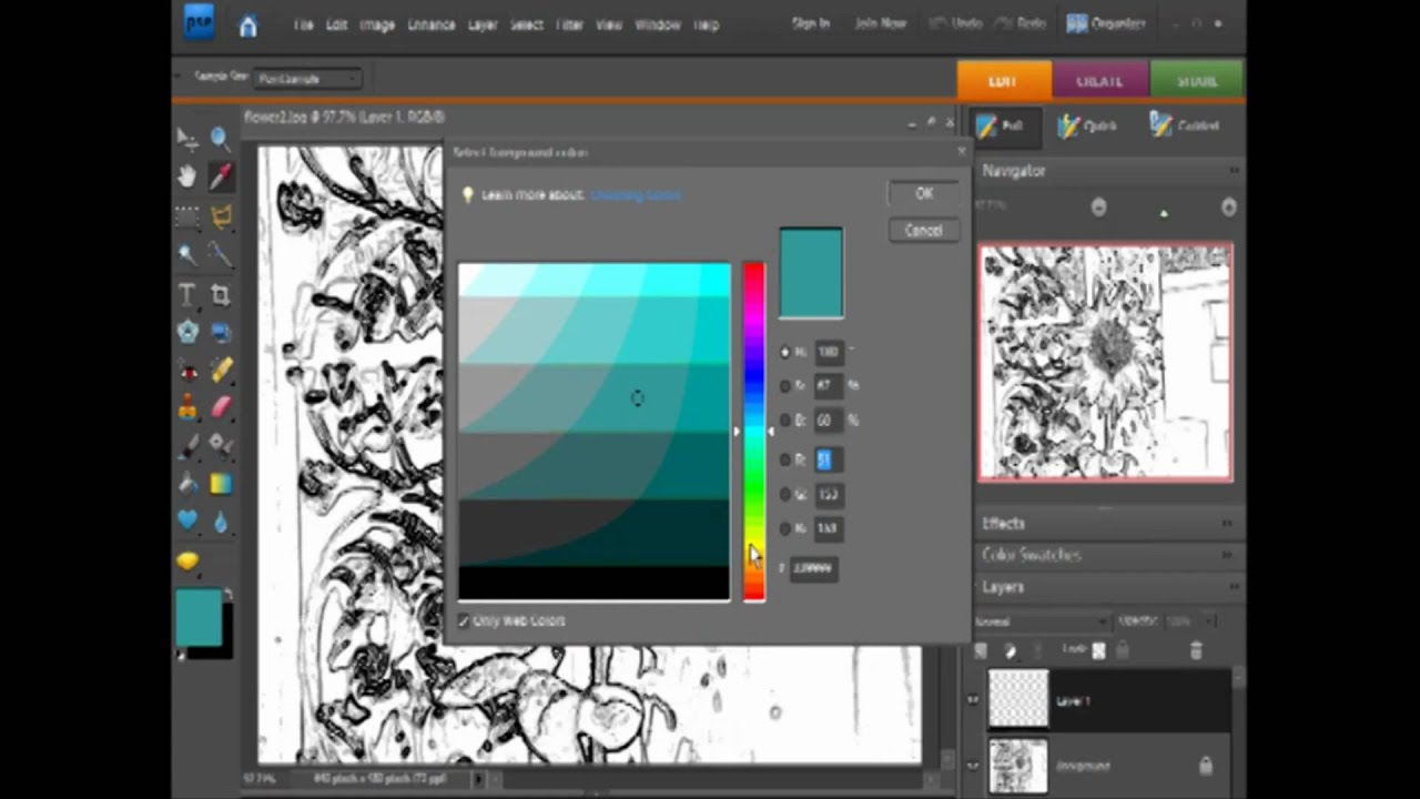 Photoshop Elements - Photo to Coloring Book Page