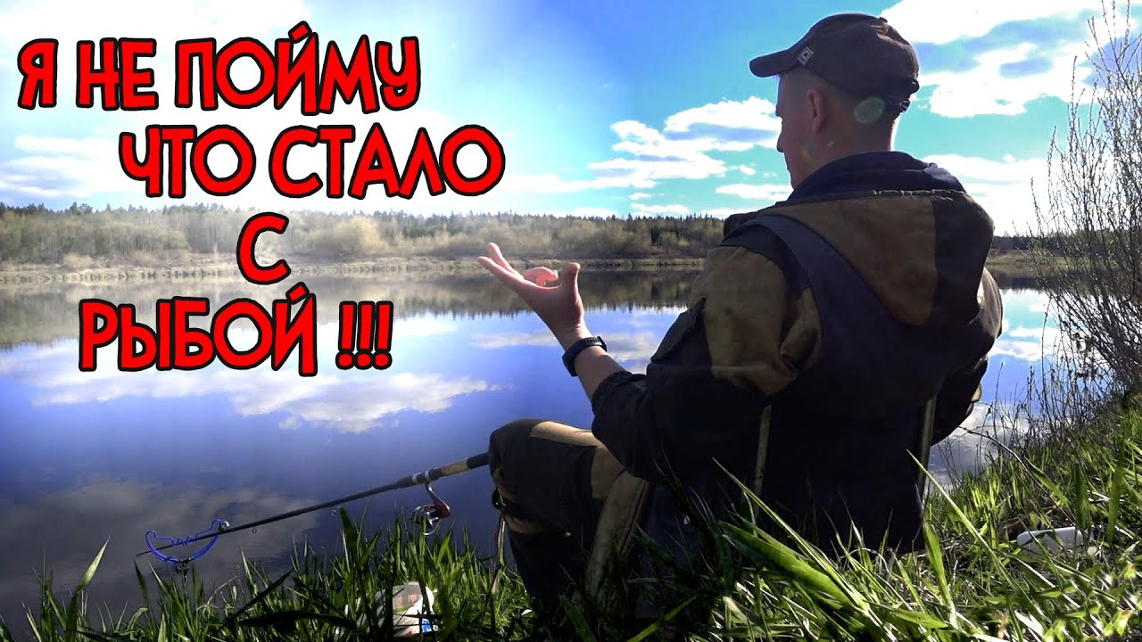 Фидер 2020. Западная Двина. Что с рыбой?! Часть2.