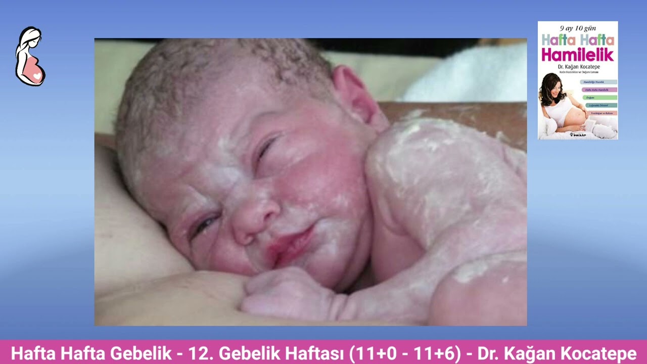 Gebelikte 12. hafta (11+0 - 11+6). Anne adayı ve bebekte değişiklikler. Amniyon sıvısı ne işe yarar?