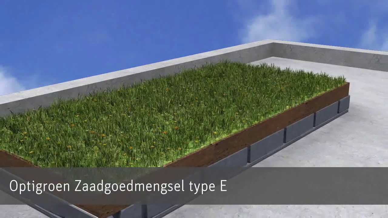 Binder - Daktuin type Meander