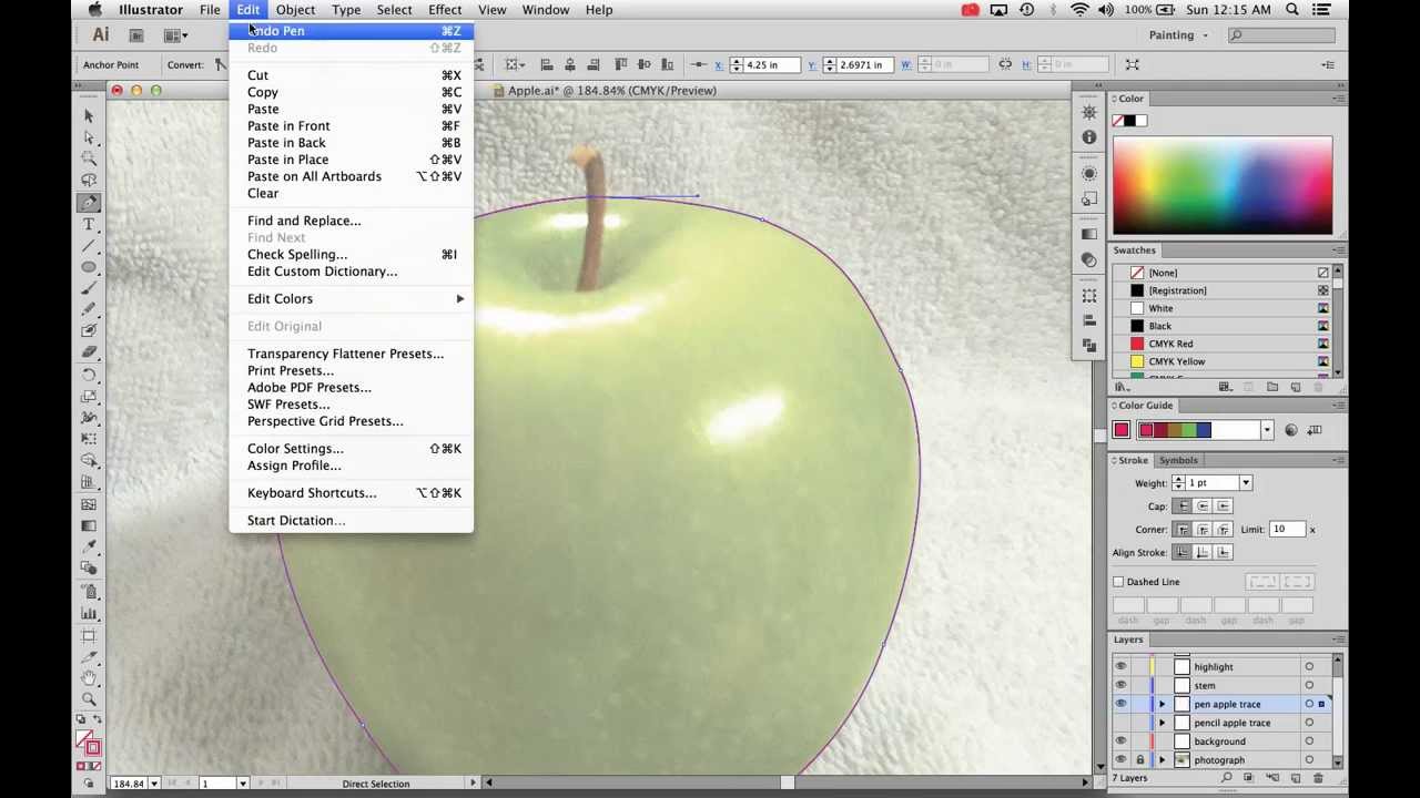 Adobe Illustrator CS6 - 6 - Pen Tool