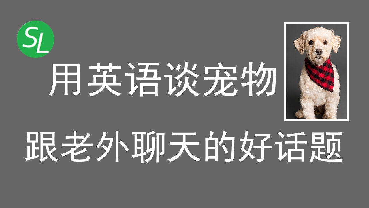 【实用英语会话】如何用英语聊宠物|英语口语全掌握|Talk about Pets|English Sentences on Pets