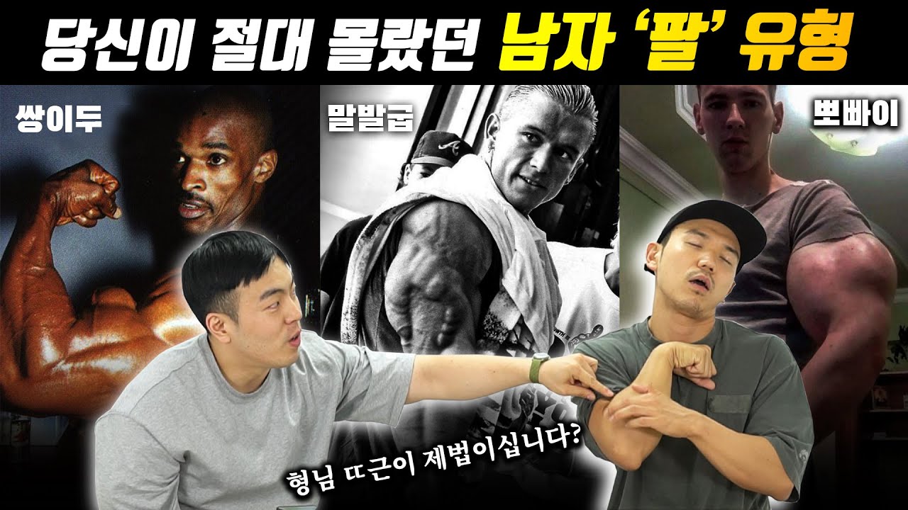 남자 '팔' 유형별 특징 |  남자 근육 탐구 보고서