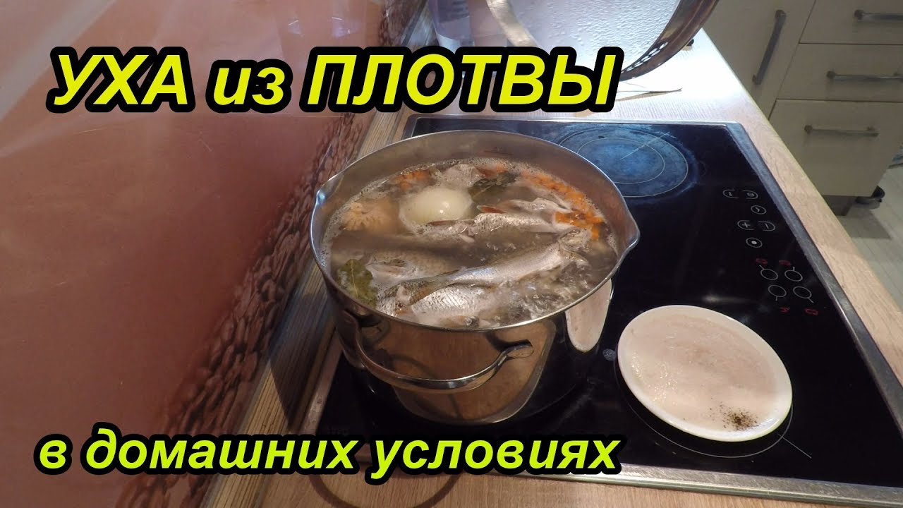 Уха из Плотвы. Рецепт приготовления блюда.