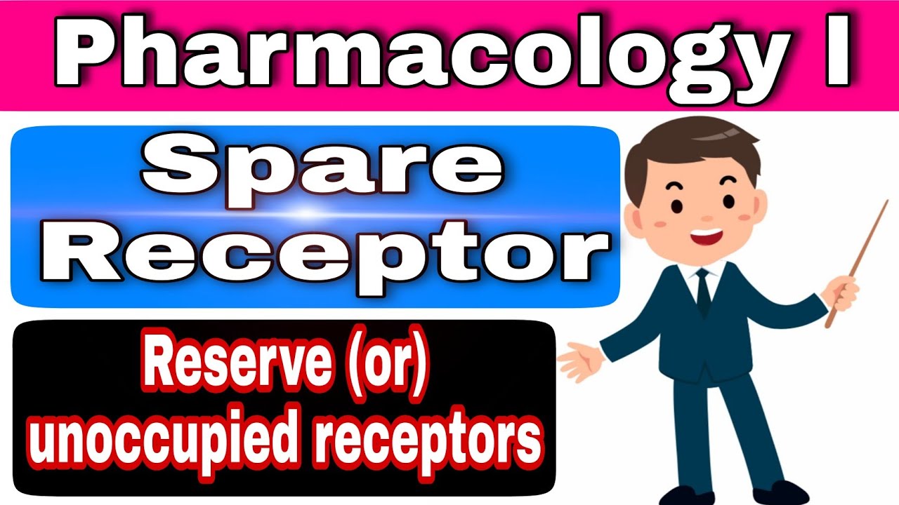 Spare Receptors|Reserve Receptors|Unoccupied Receptors|spare receptors in pharmacology