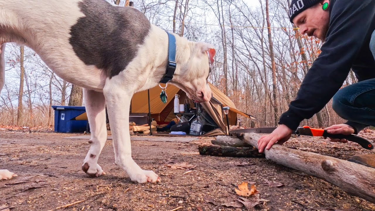 A Quiet Trip Into the Woods… Until Everything Changed