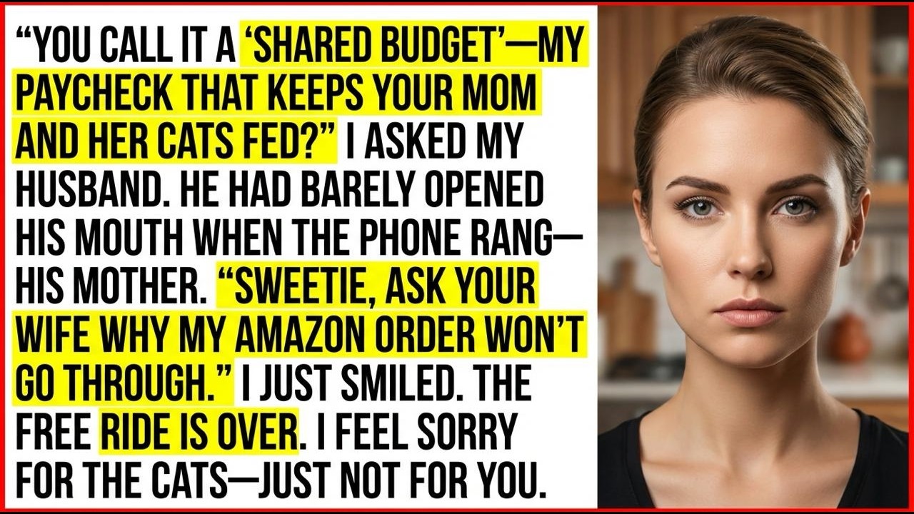 You Call It ‘Shared Budget’-So Why Is My Paycheck Supporting Your Mom And Her Cats?! Each Month Now