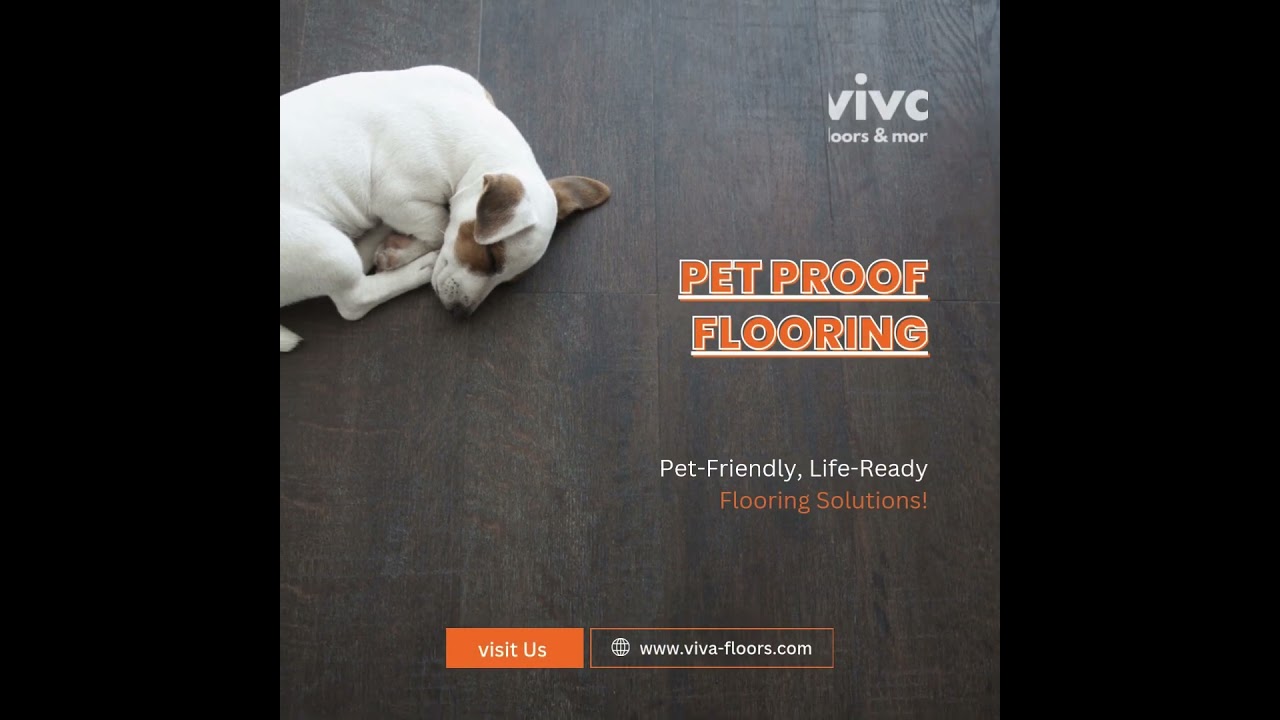 Pet Proof Flooring                 #remodel #flooring #rgv #diy #pets