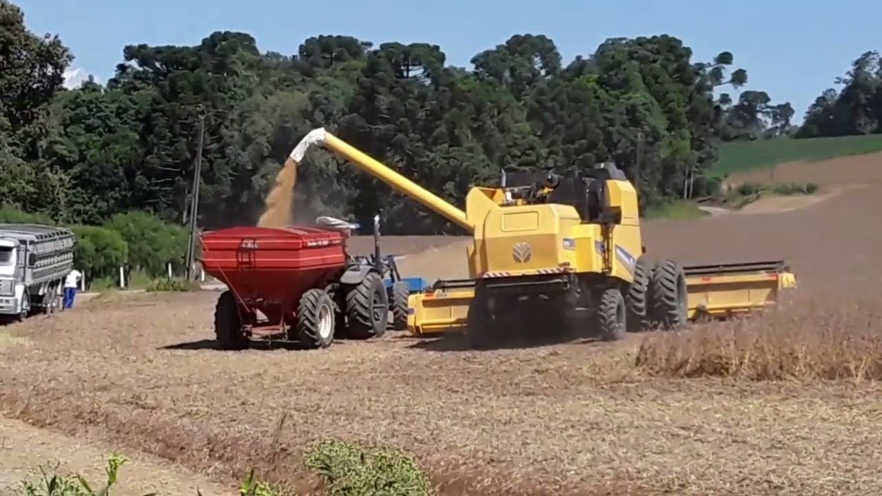 Colheita de soja em Irati - Paraná (2023)