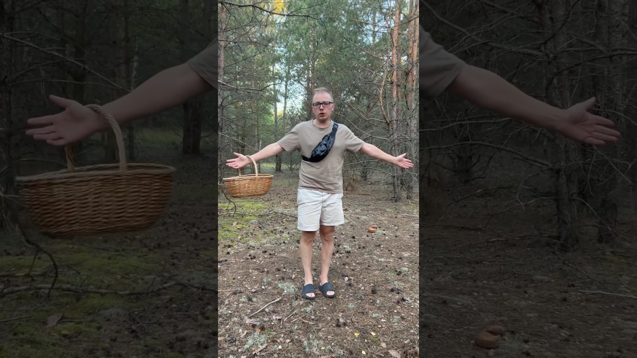 КЛЕЩИ КУСАЛИ ГРИБНИКА! Но он собрал поляну Боровиков!😱