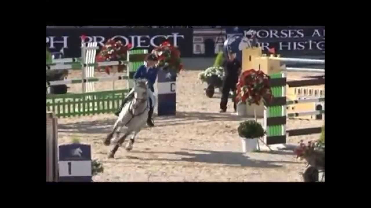 ASCA Z: Zangersheide stallion by Askari x Carthago Z, www.equine-evolution.com