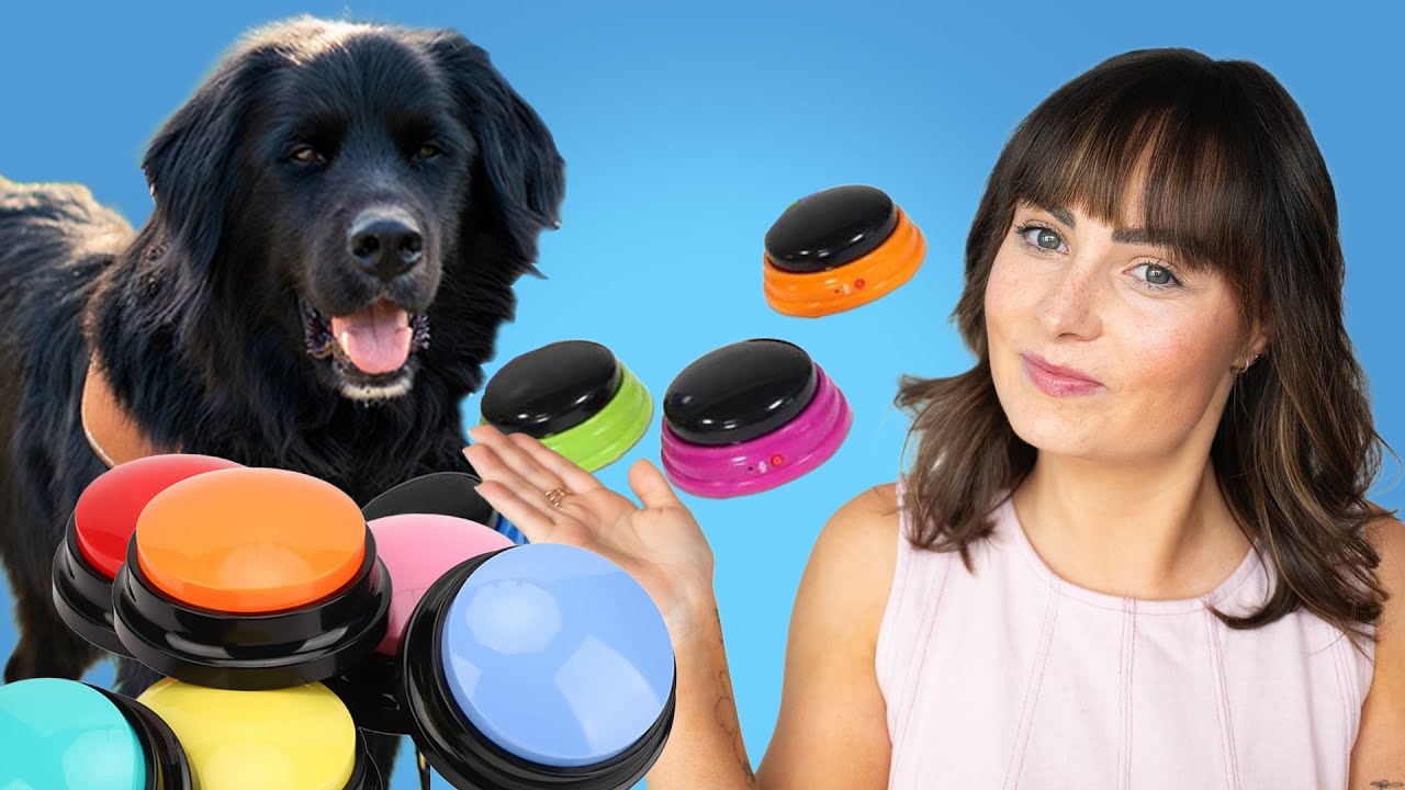 I Gave My Service Dog Talking Buttons&hellip; Here&rsquo;s What Happened!