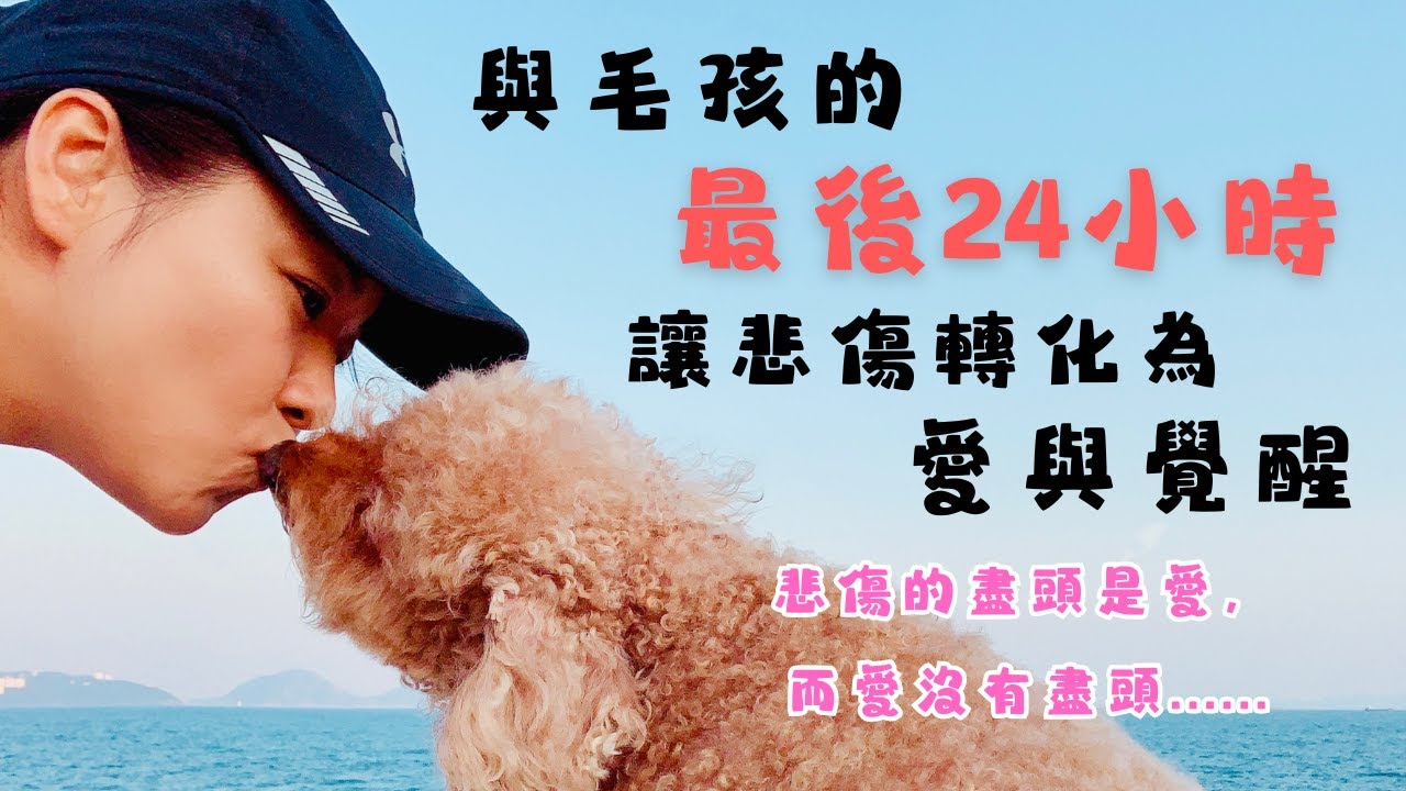 我與Midy的最後24小時：面對寵物離世的哀傷與平安｜如何將悲傷轉化為無盡的愛？｜超越生死課題