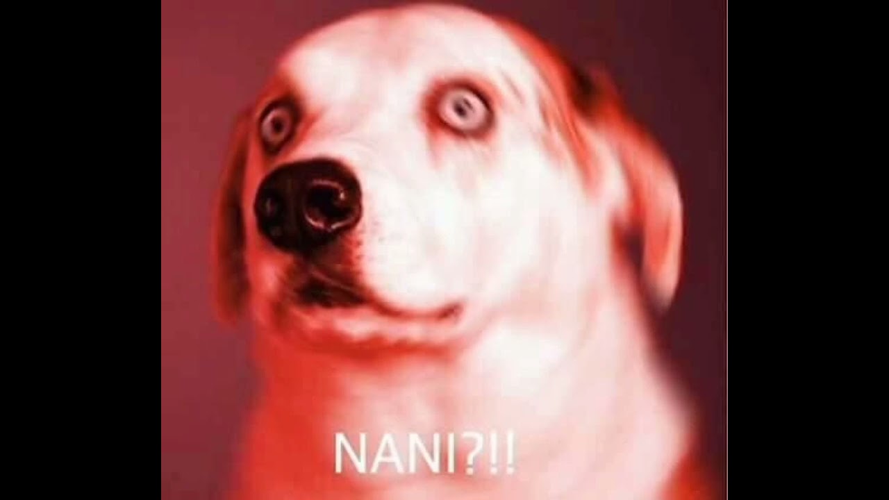 Nani? (IDK AT THIS POINT) glitchhop, dreampop, synthwave
