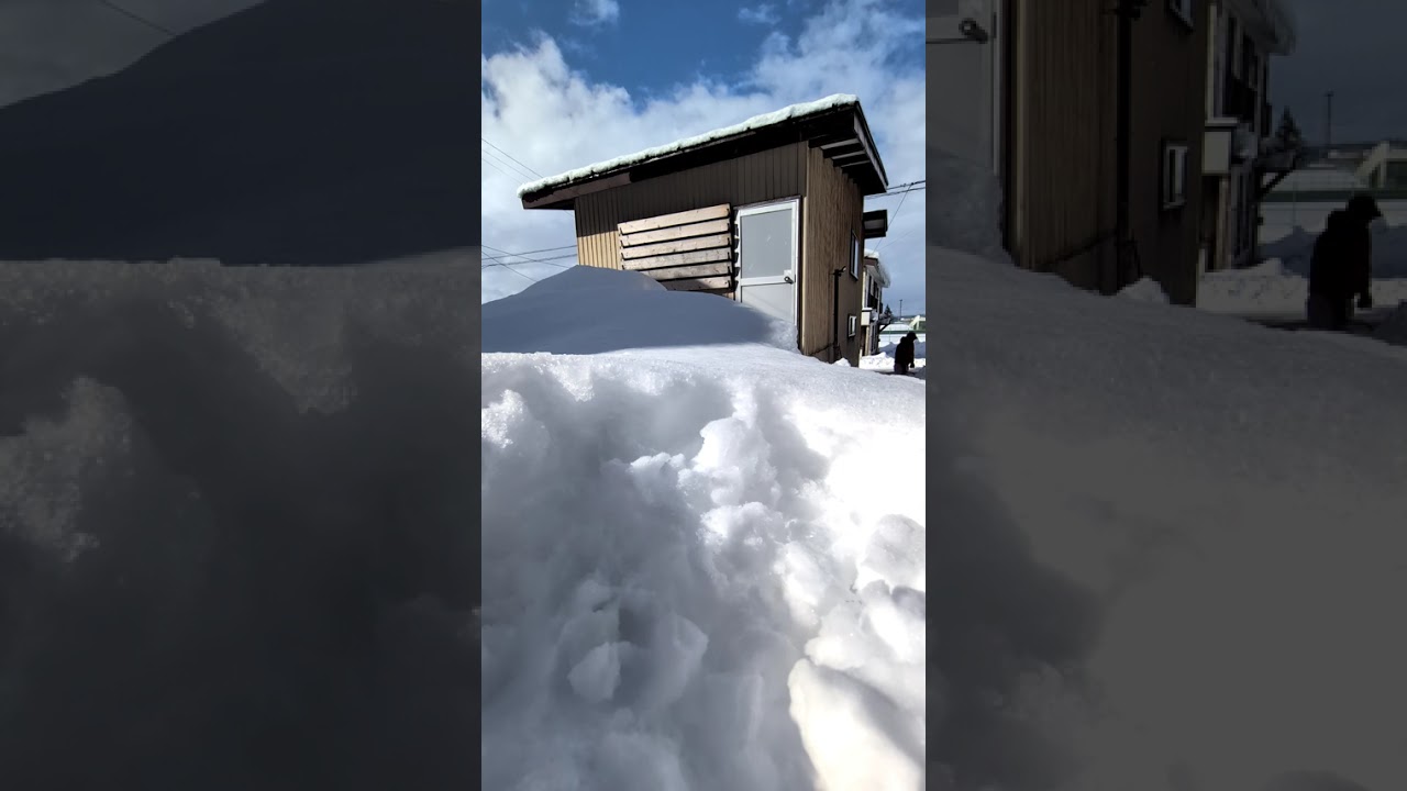 雪かきタイプラプス