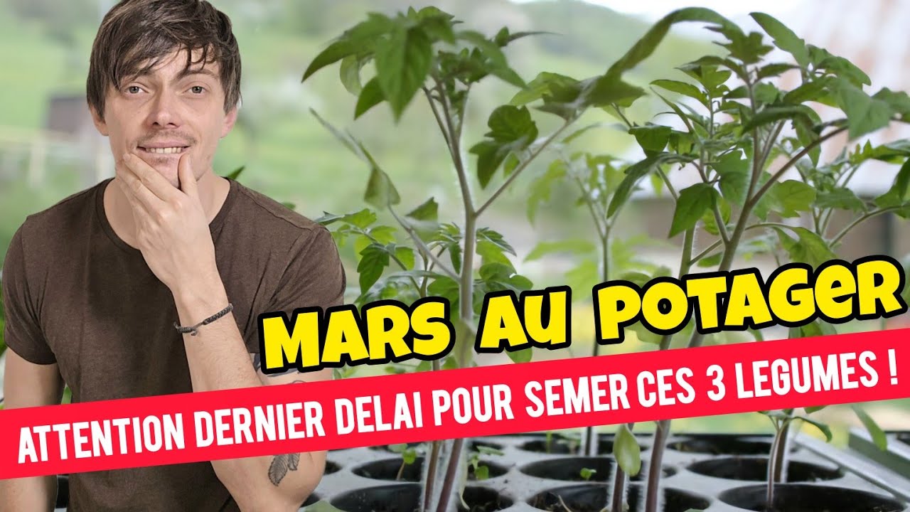 Que SEMER et planter en MARS au potager