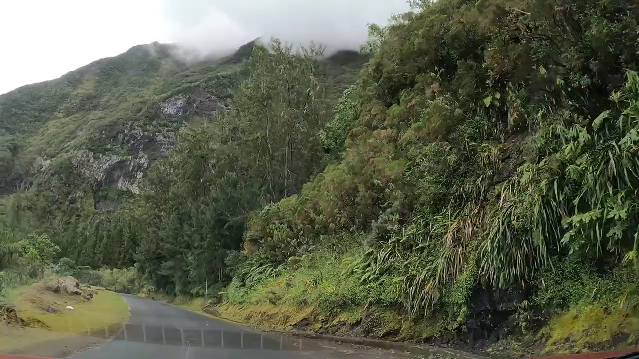 Ile de la Réunion,Cirque de Salazie, Mare à Martin - Grand-Ilet