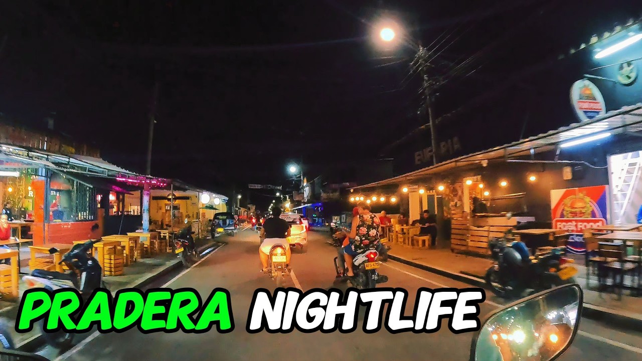 VIDA NOCTURNA DE PRADERA 2026