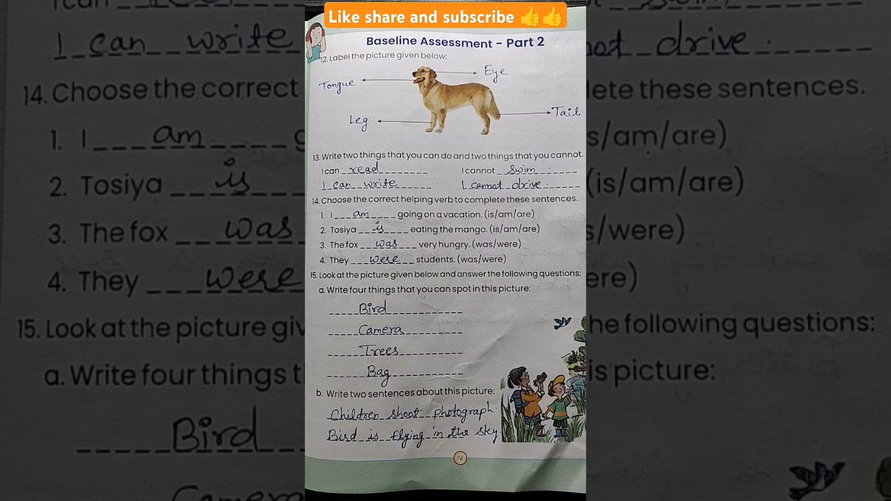 Class 4 and 5 prayas English baseline assessment part 2