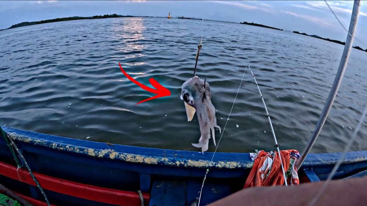 Umpan mancing terbaik kesukaan ikan besar