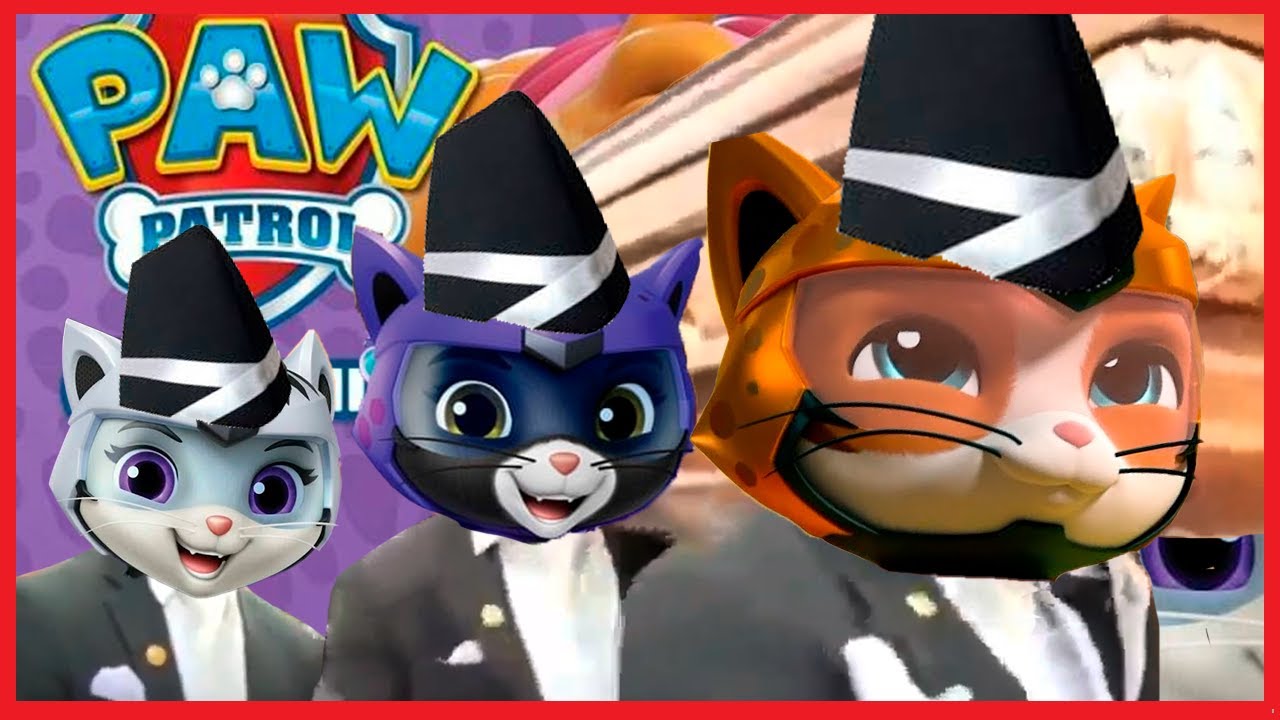 Paw Patrol Cat Pack - Coffin Dance Song COVER