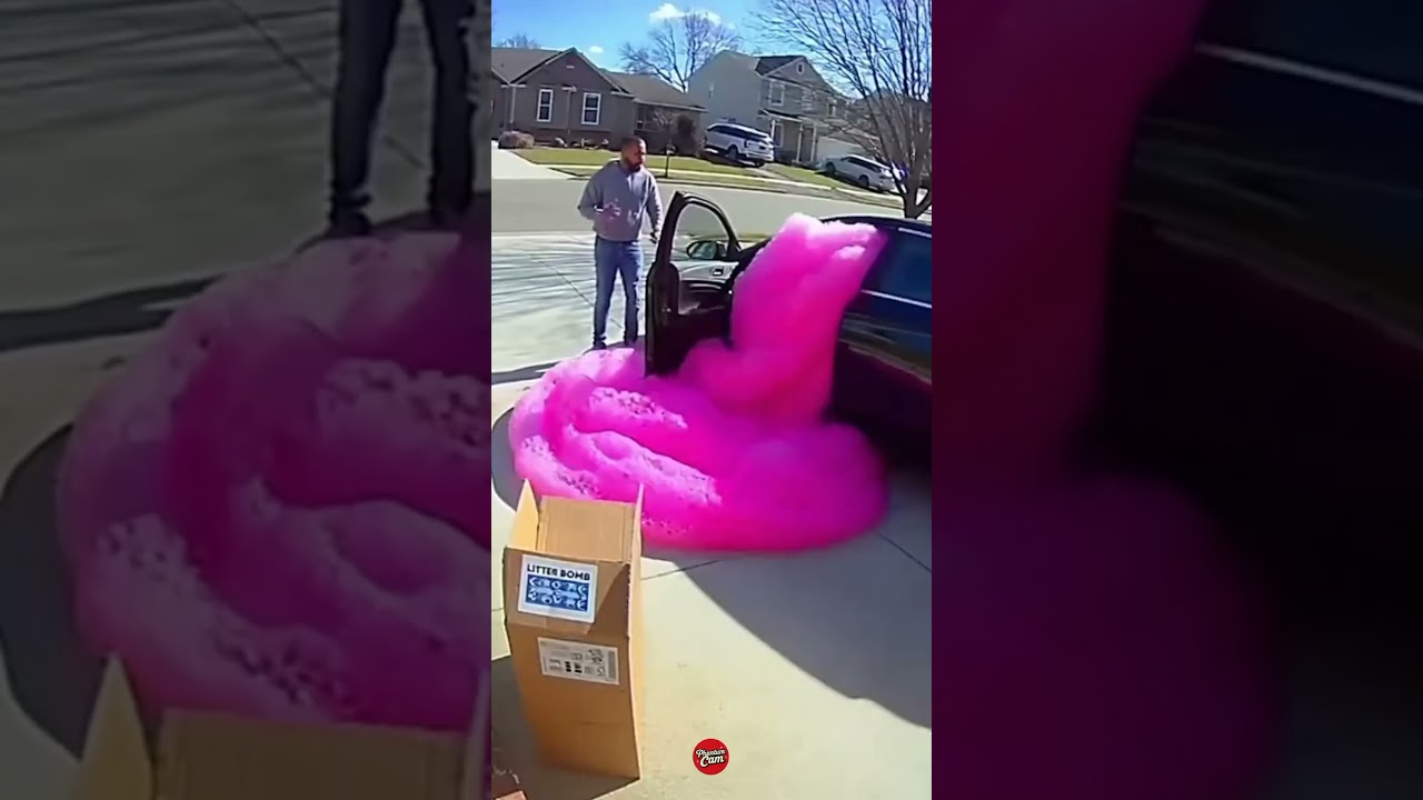 Epic Porch Pirate Fail Mid-Escape 😆 #instantkarma
