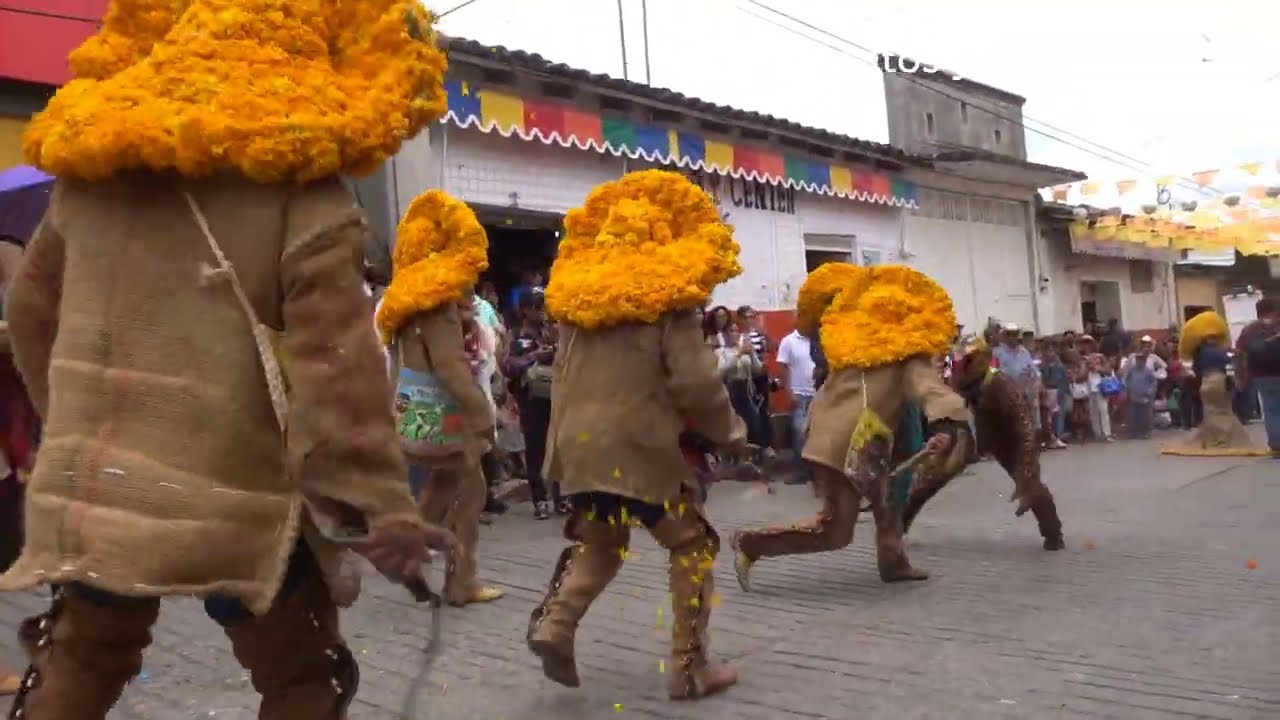 Segundo Día del 9º Festival del Tlacololero en Chichihualco, Guerrero (todas las danzas)
