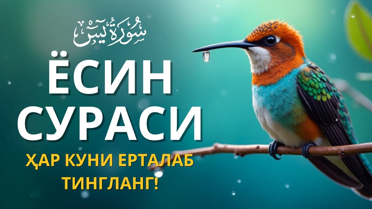 ЁСИН СУРАСИ - Узбек тилида! Ясин сураси - ҲАР КУНИ ЕРТАЛАБ ТИНГЛАНГ! Узбекча дуолар /Тонги дуо