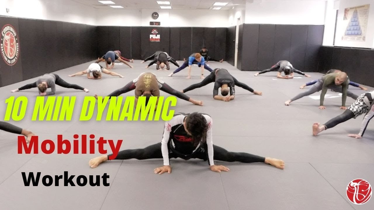 Dynamic Stretching Workout for Jiu Jitsu | Cobrinha BJJ