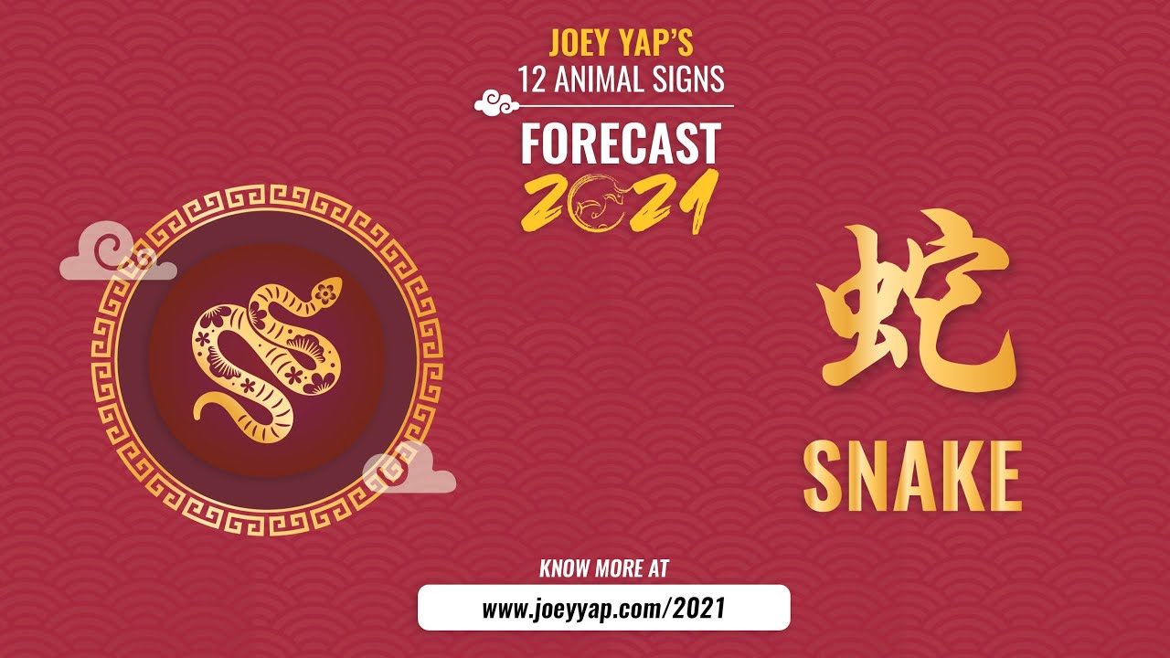 2021 Animal Signs Forecast: Snake [Joey Yap]