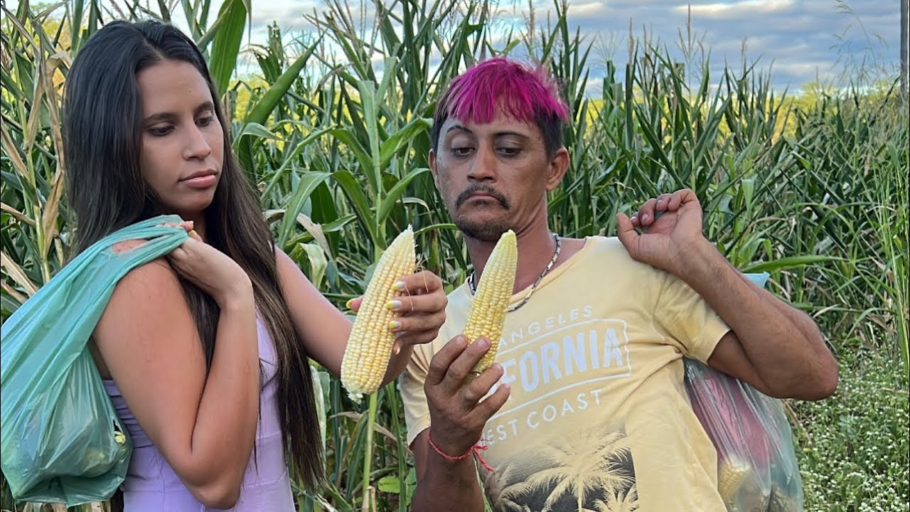 TROLEI CR&Ecirc;MOLAW NA PLANTA&Ccedil;&Atilde;O DE MILHO😂 | BRENDA RAQUEL