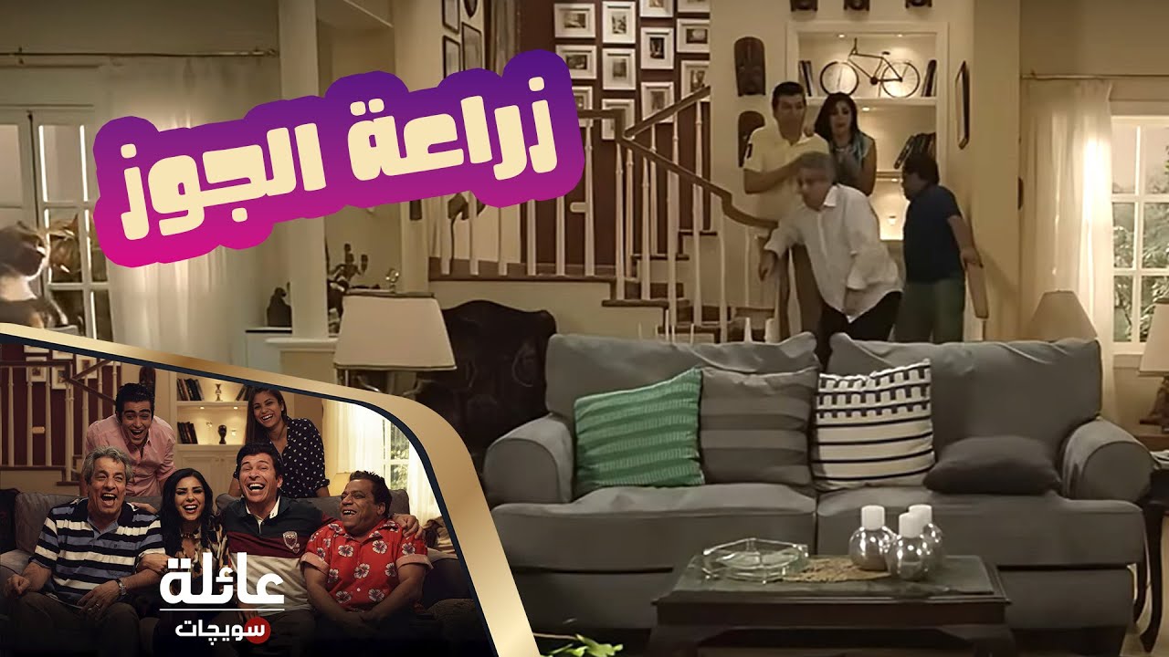 عائلة سويچات | زراعة الجوز