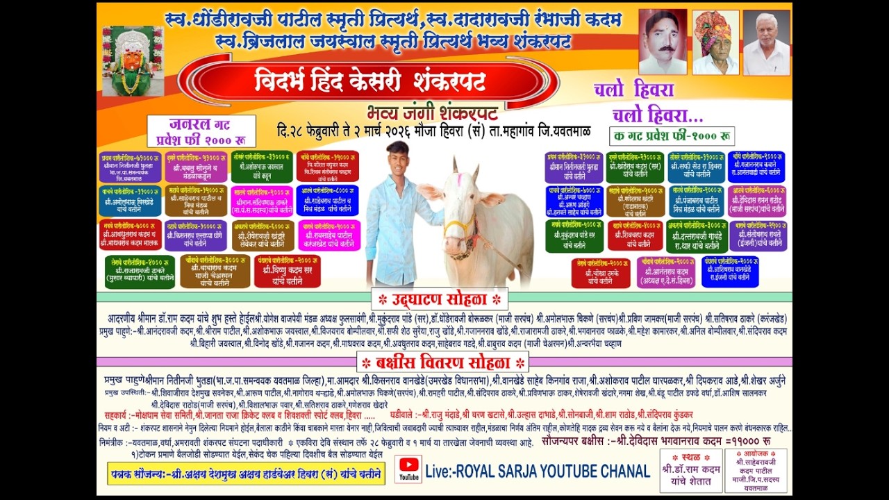 🔴 Royal Sarja Live  | फायनल | विदर्भ हिंद केसरी शंकरपट मौजा हिवरा संगम  | शंकरपट हिवरा संगम लाईव्ह